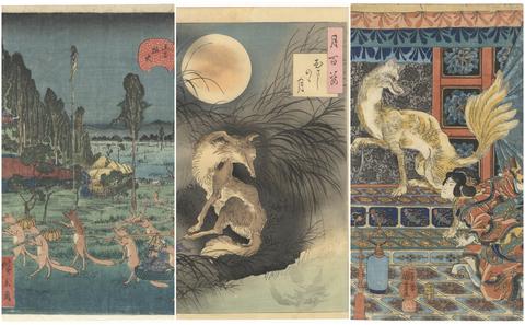 japanese woodblock print, japanese folklore, japanese fox, kitsune