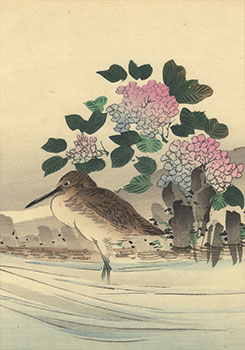 Koga Iijima, Japanese Woodblock Print Artist 