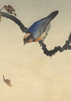 Seiko Okuhara, Japanese Woodblock Print Artist 
