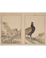 Keinen Imao, Azalea, Fern, and Pheasant, Birds and Flowers Album, Spring
