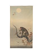 Koson Ohara, Monkey Siting on a Branch, Looking at a Bird