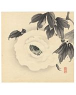 chikuseki yamamoto, peony flower, decorative art
