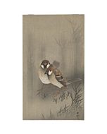 japanese woodblock print, japanese antique, ukiyo-e, koson ohara, birds