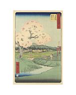 japanese woodblock print, japanese antique, landscape, hiroshige utagawa, sakura