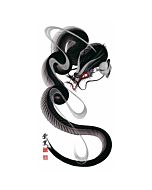 Tetsuya Abe, Descending Black Dragon, Contemporary Art, Original Japanese ink painting