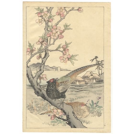 bairei kono, Green Pheasant and Peach Blossoms,  Four Seasons, Bairei’s Album of Flowers and Birds（楳嶺花鳥画譜 春夏秋冬）