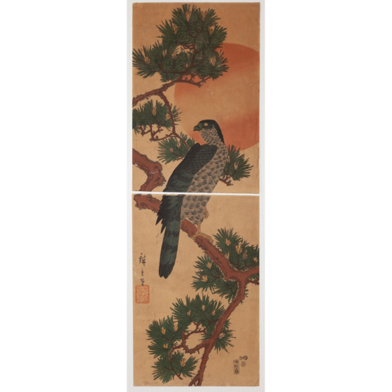 hiroshige I utagawa, Kakemono-e, Falcon, Pine, and Sunrise, bird and flower