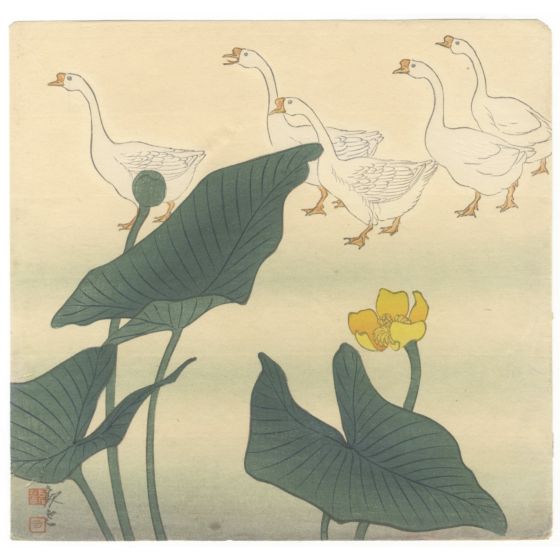 kan'un, Lotus and Geese, bird and flower