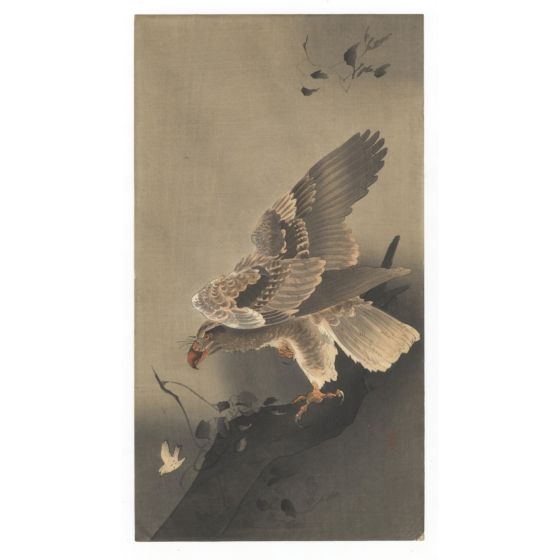 koson ohara, eagle with outspread wings