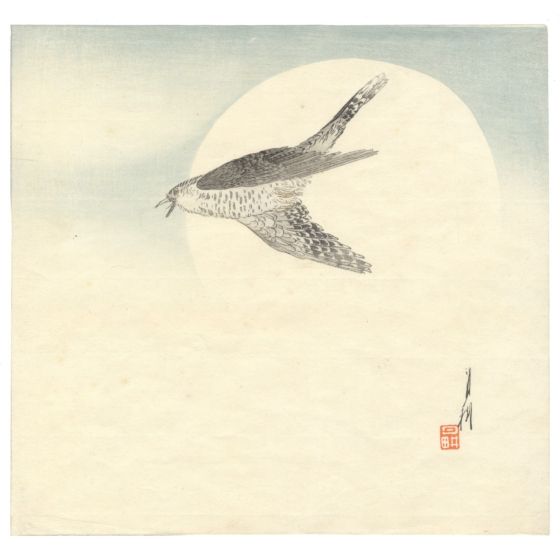 gekko ogata, Nighthawk by Moon, bird print