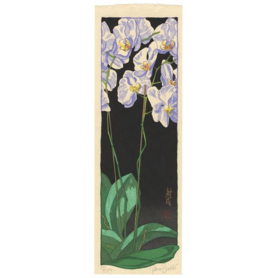 Paul Binnie, Night Orchids, Flowers, Contemporary Art