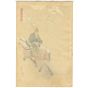 japanese art, japanese antique, woodblock print, ukiyo-e, Gekko Ogata, Horse Riding, Cherryblossom Viewing