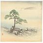 japanese art, japanese antique, woodblock print, ukiyo-e, Kogyo Tsukioka, A Single Pine Tree