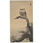 Koson Ohara, Scops Owl and Three Sparrows , ukiyoe, japanese woodblock print, authentic