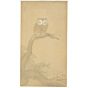 Koson Ohara, Scops Owl and Three Sparrows , ukiyoe, japanese woodblock print, authentic