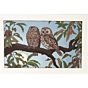 toshi yoshida, owl, bird, japanese woodblock print
