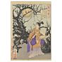 japanese woodblock print, japanese antique, 100 aspects of the moon, yoshitoshi