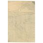 Toshimitsu Shinsai, Battle of Yalu River, War Print, Japanese woodblock print, japanese antique